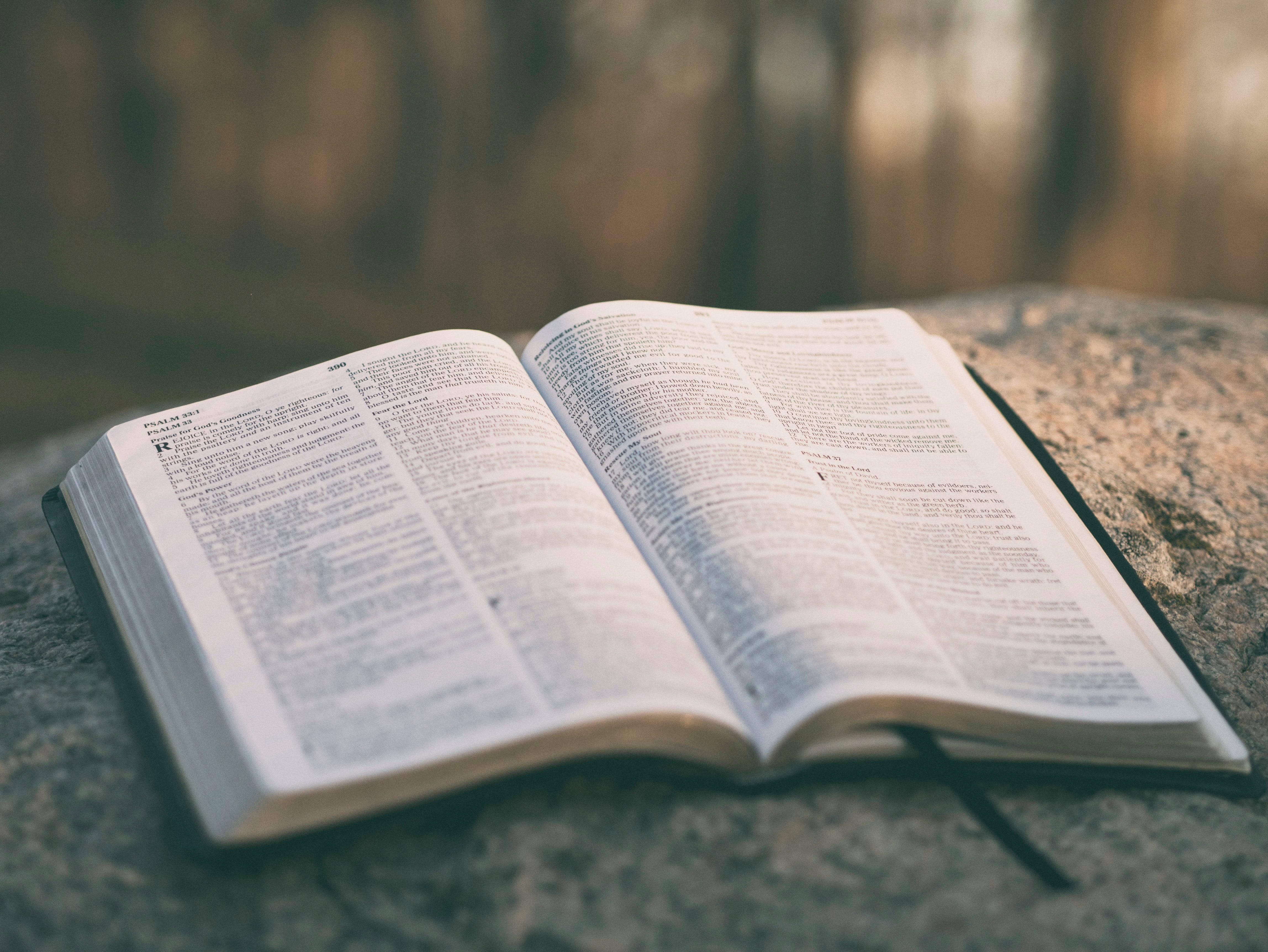 Bible stories are approved as required reading in Texas public schools — editorial image