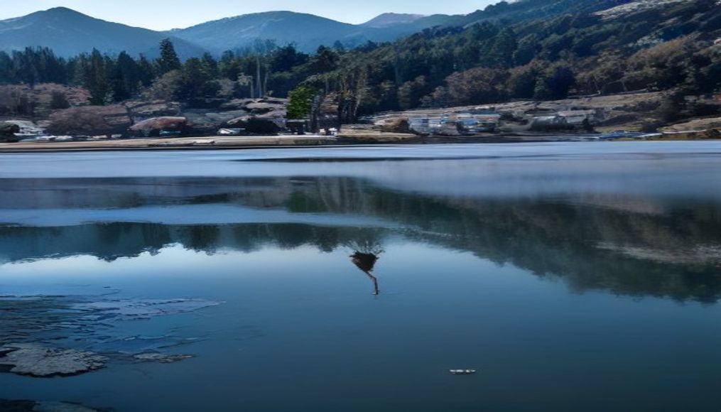 EXCLUSIVE: Silver Lake in talks to buy Workday, sources say — editorial image
