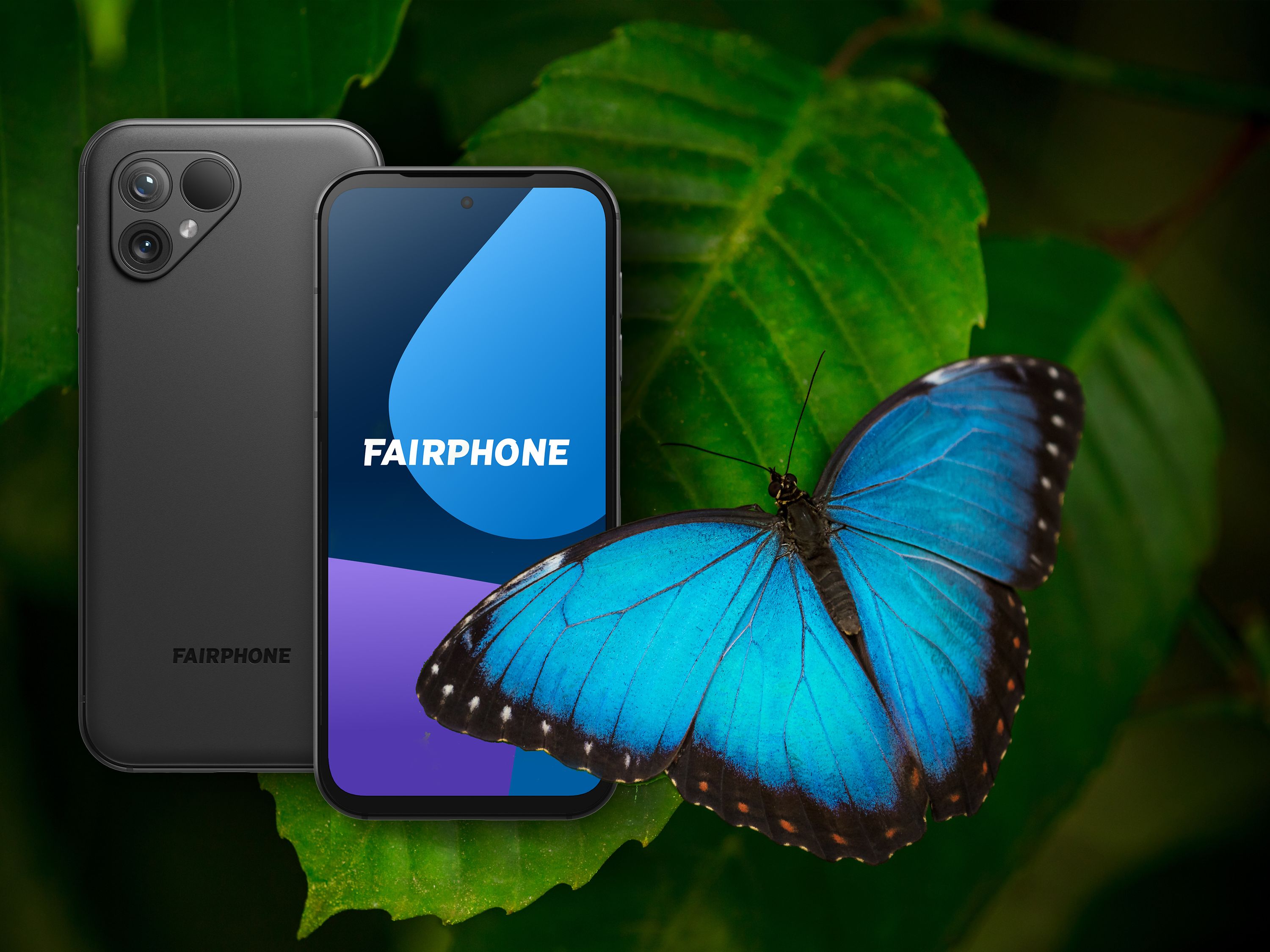 Fairphone 6 wide camera experimental Linux support — editorial image