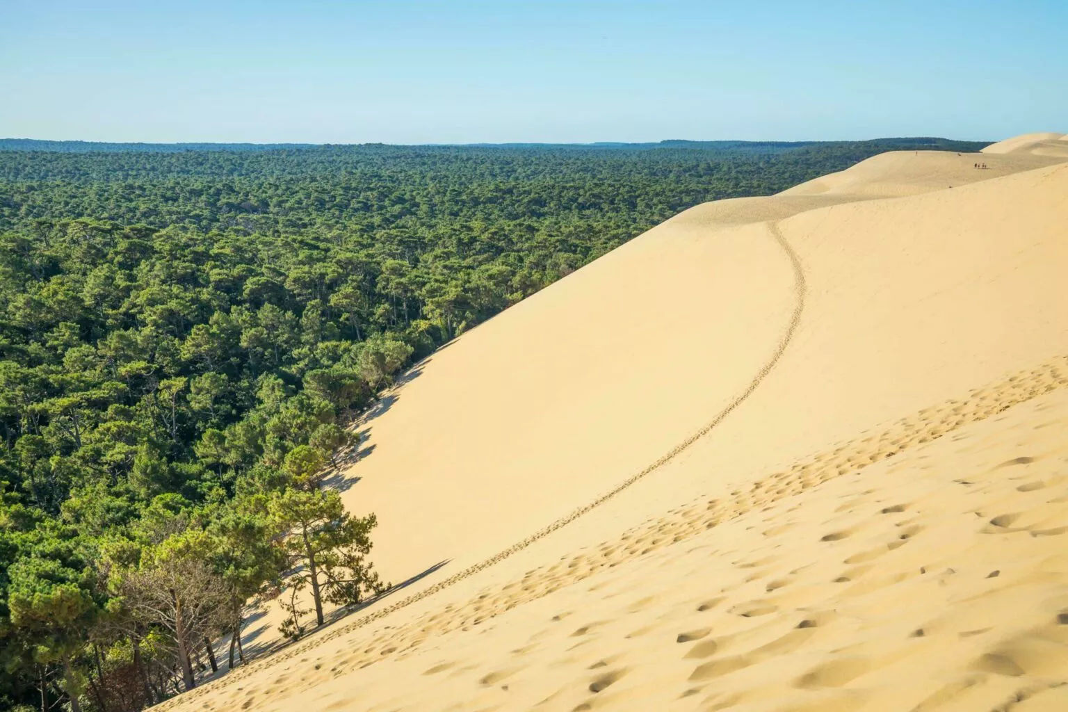 Gironde wildfires pick up as French region braces for new 40C heatwave — editorial image