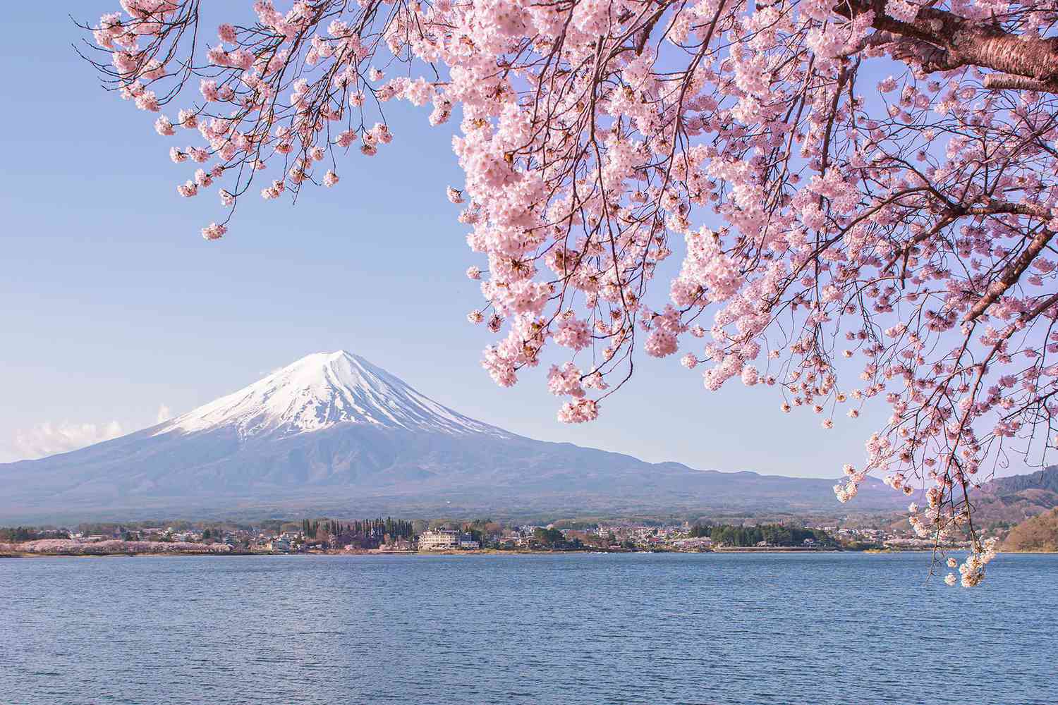 Japan quintuples visa fees in first price hike since 1978 — editorial image