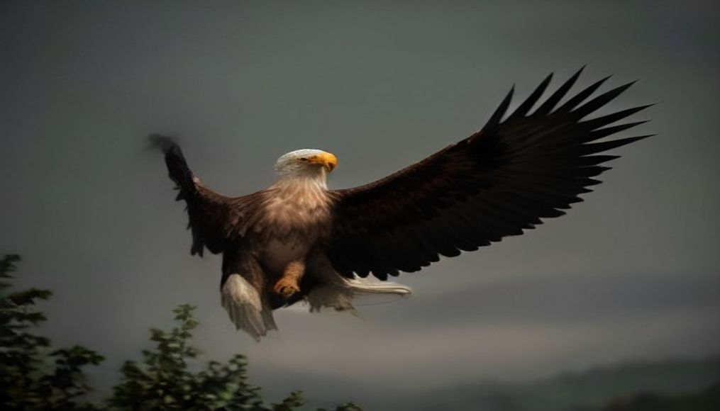 Kidnapped rare Serbian eagle freed into wild after rescue — editorial image