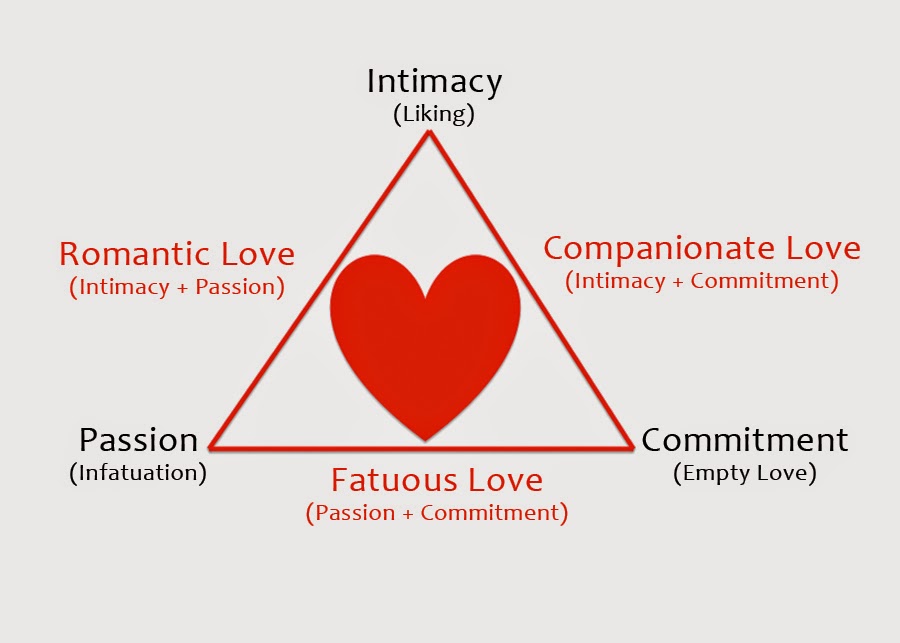 What I love about Django — editorial image